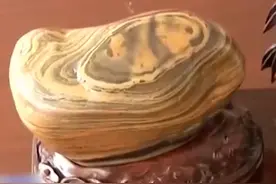 青岛大哥海滩捡到熊猫奇石，有人开价百万不卖，专家：得亏没卖！图片