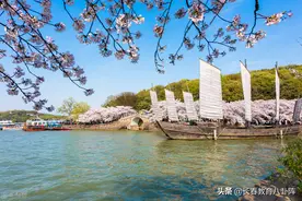 重磅！2022年长春民办派位名额减少？民办校学费汇总来了图片