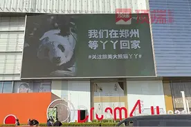 郑州一商场回应免费投放大熊猫“丫丫”海报：将持续关注，坚持发声图片
