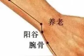 清肝明目、舒筋活血—养老穴图片