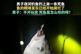 死鱼正口！男子钓起鲫鱼，鱼身已腐烂，网友：快点回去，安全第一图片