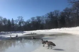 走出泥泞 徐彦君歌词四首图片