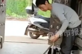 媒体报道河南一村出现蛇群，一女士称多次见到蛇，是灾害预警吗？图片