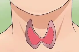 「甲减」让这种病几率暴增81%，三招自测风险图片