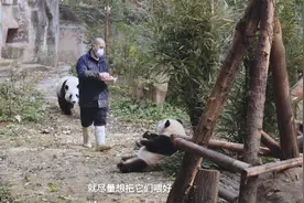 “天府新视界”上线 第一弹视频藏着什么深意？图片