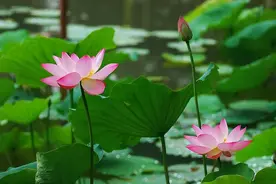 遇到这几个人，是转运的信号图片