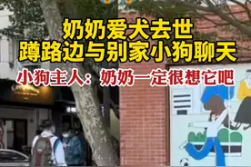 奶奶爱犬去世蹲路边与别家小狗聊天，小狗主人：奶奶一定很想它吧图片