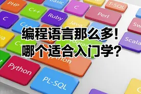 不同编程语言有哪些差异？如何选择入门语言？图片