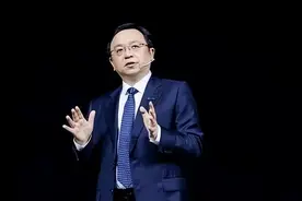 千亿富豪王传福深情揭秘：在我身后那个了不起的女人-长嫂如母图片