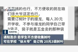 “树叶费”这个“锅”，不能单让徐大爷背图片