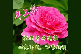 大家早上好最新带字动态图片， 每日清晨朋友圈问候语图片大全图片