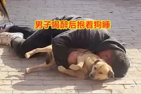 男子醉酒把狗当女友，当街按倒抱着睡，小狗紧紧夹住尾巴一脸无辜图片