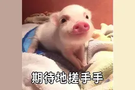 大家关心的「荨麻疹的分类和治疗」问题，都回复在这里了图片