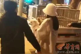 “狗比娃金贵”的视频被广泛转发，西安警方已依法暂扣犬只，并处罚狗主人1300元图片
