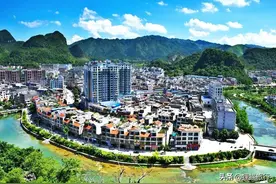 广西德保县也叫天保，这里有矮马王国，出产八角茴油、蛤蚧酒图片