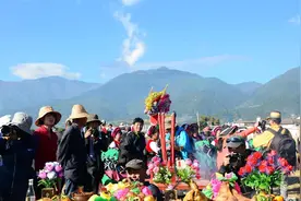 “坟前种三树，子孙代代富”，“三树”指什么树？有道理吗？图片