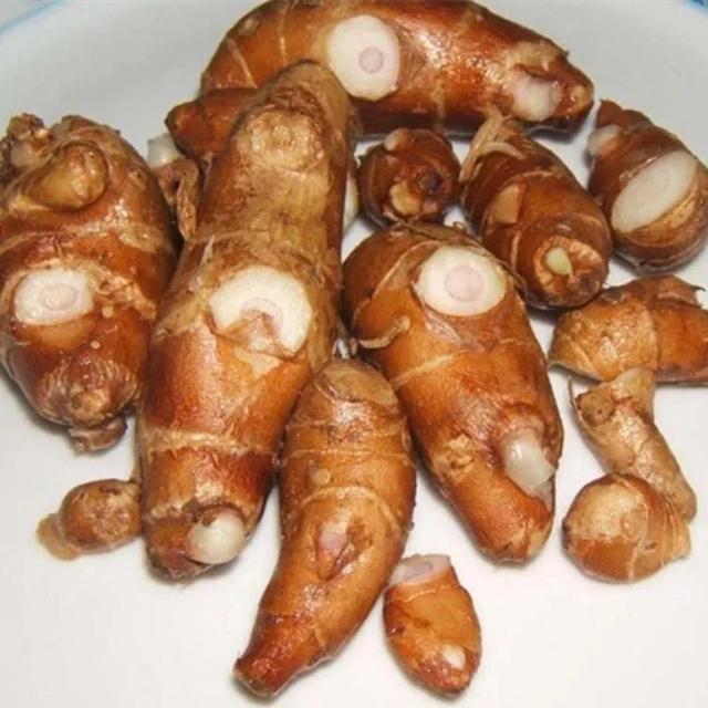 「香料包的秘密19」沙姜，一个鲜料比干料应用更广的香料