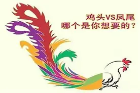 高考后就会知道，普通班的鸡头和重点班的凤尾，差距不是一星半点图片