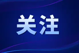 如何快人一步搞定驾驶证清分？图片