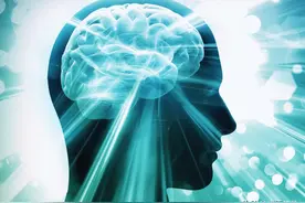 科学家发现维生素 B6 具有促进大脑发育的潜力图片