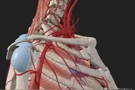 洛阳“剪刀血案”：剪刀位置曝光，新婚妻子透露对方口出不逊挑事图片