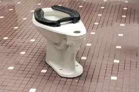 偷马桶挑战在国外爆火，搬空公厕成了学生们的社交投名状图片