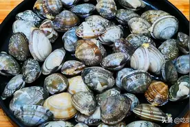 花蛤吐沙，海边渔民教的好办法，不用盐不用油，十几分钟吐个干净图片