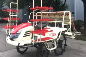 6行乘坐式水稻插秧机，江苏沃得vs久保田，水田机械争霸图片