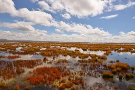 1935年长征过草地，红军副连长李玉胜，凭一己之力救出28名轻伤员图片