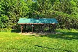 夏季饵料味型如何调整？用这几个方法，连竿大鲫鱼，不怕杂鱼闹图片