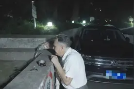 一个“老外”，在上海养150只流浪猫图片