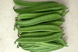 带有毒性的刀豆，曾是湖南人心中的“白月光”，如今逐渐被遗忘图片