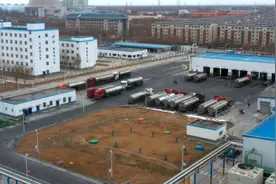 从“地标”到品牌 宁夏绿色优质农产品成“香饽饽”图片