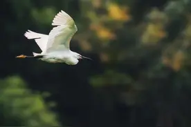 史上最狂傲的30句诗词，我读了五遍，还觉得没读够图片