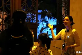 星空下，她为游客讲述拙政园更美的故事...图片