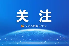 单考单招院校招生专业及计划统计表图片