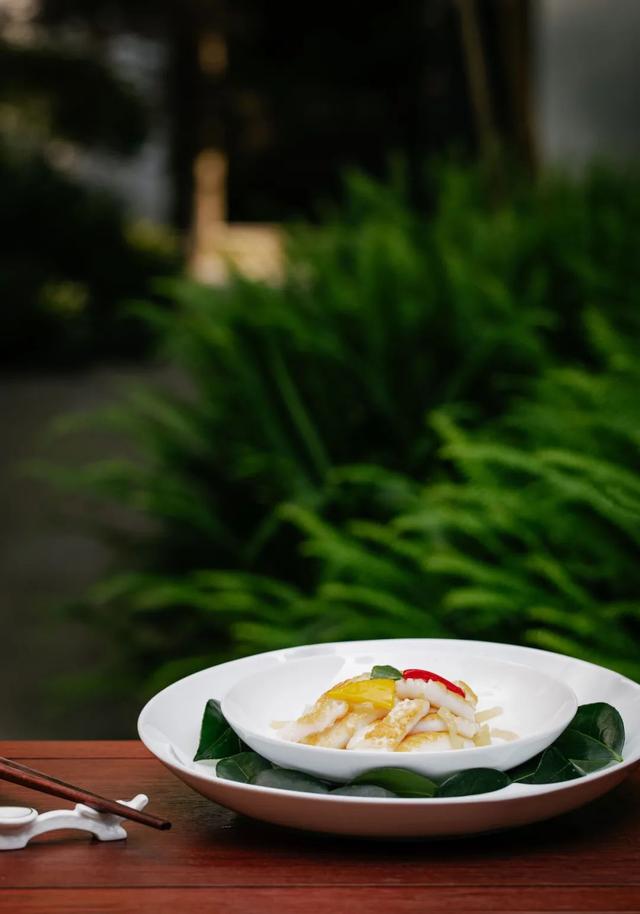 川贝炖花胶 2026年花胶川贝瘦肉的做法