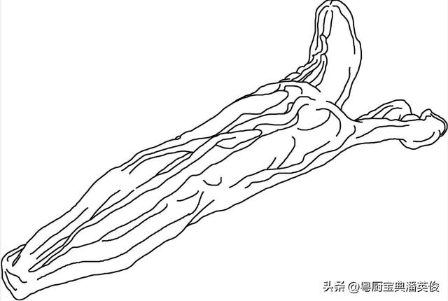 阿胶与花胶有什么区别 2026年阿胶与花胶有什么区别图片