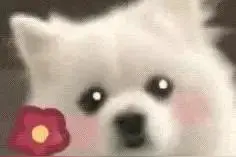 如何与有抑郁症的女朋友相处图片