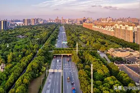 一份《2022年中国国土绿化状况公报》请查收|3.21“国际森林日”图片