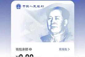 数字人民币是什么？与支付宝，微信支付的关系和区别？图片