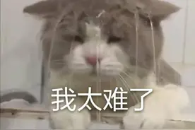 西安外环高速开通，将“解锁”这些板块价值图片