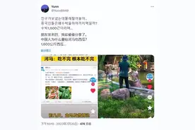 中国西瓜气哭韩国人？1600斤全喂河马，韩网友破防：凭啥我吃不上图片