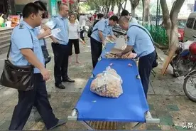 在城管大队工作8年，今天清退编外，我下岗了，面临失业图片