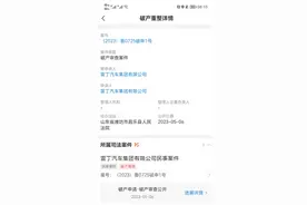 雷丁汽车破产倒下的三个警示图片