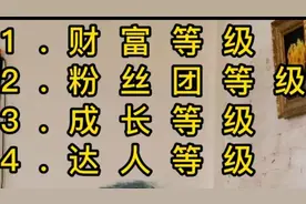 蓝牌，黄牌，成长，达人等级，图片