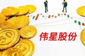 伟星股份研究报告：拉链纽扣双龙头，份额持续提升可期图片