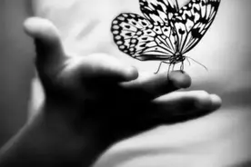 终于找全了：蝴蝶效应、青蛙现象、鳄鱼法则、鲇鱼效应、羊群效应、刺猬法则、手表定律……值得收藏图片