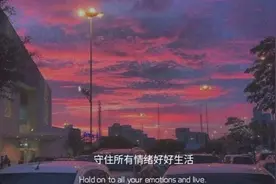 「推书」《这贪欢惹的祸》：华尔街不相信眼泪，却信温桑也图片