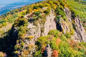 黑龙江哈尔滨巴彦县：精心养出服装业“软黄金”图片